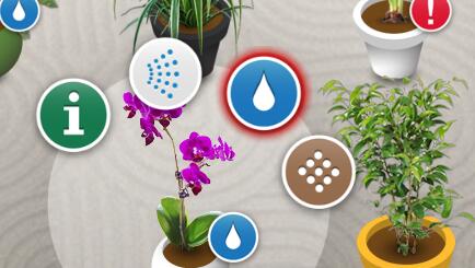 Koubachiƻ���ֻ���԰��Ӧ��ϵͳ