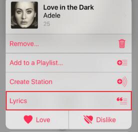 �����Apple Music�Ͽ����