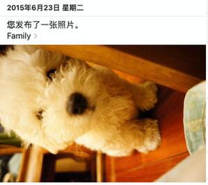 iphone6 ����������