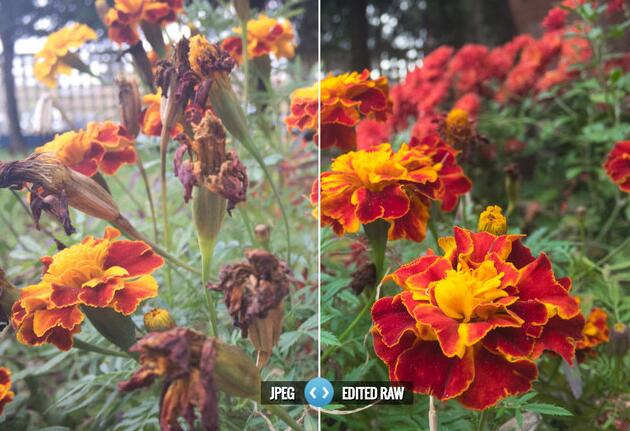 iphone7 raw��ʽ����