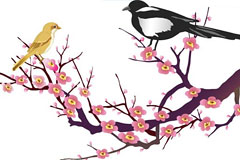 йŵ伪ͼϲȵ÷زʸͼ