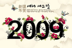 2009ˮī껭زʸͼ