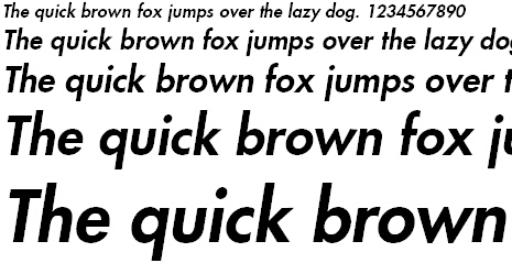 Futura LT Heavy Oblique