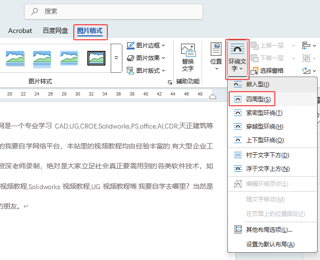 word2024ͼƬΪģʽϸ6