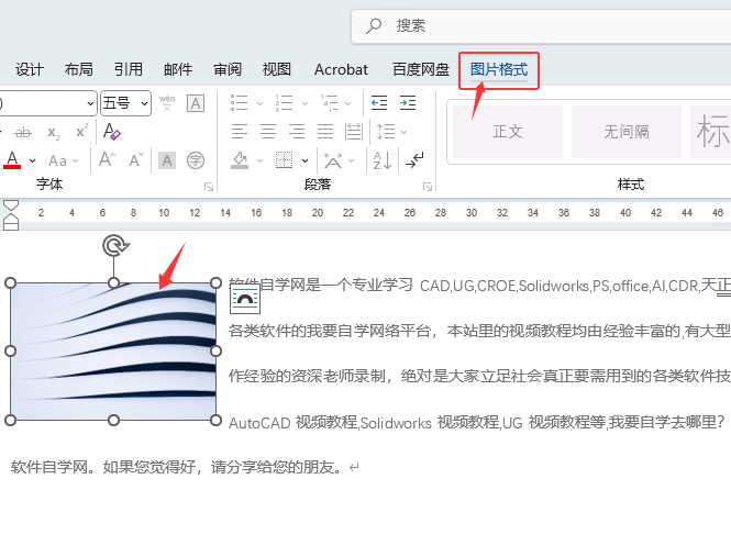 Word2024ͼƬ߿Ϊɫϸ2