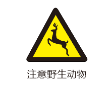 CoreIDRAW2024עҰｻͨʶķ