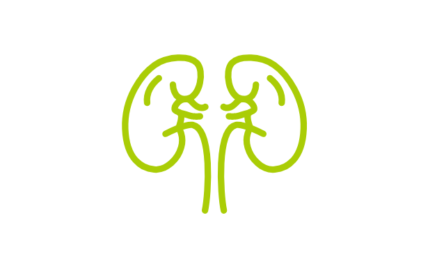 CDR2024����һ������ͼ���ķ�����4��