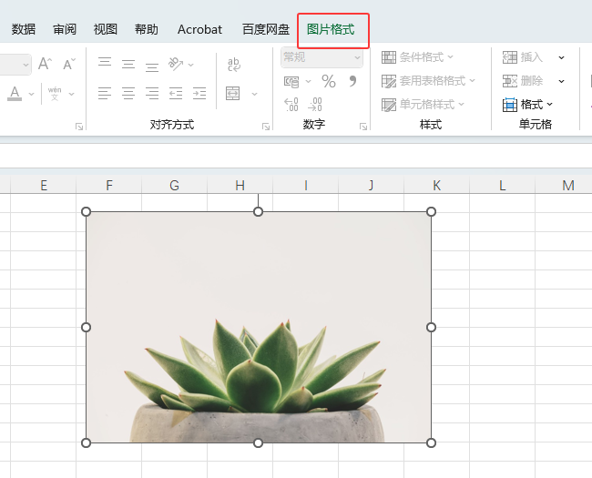 EXCEL2024üͼƬκβҪ2