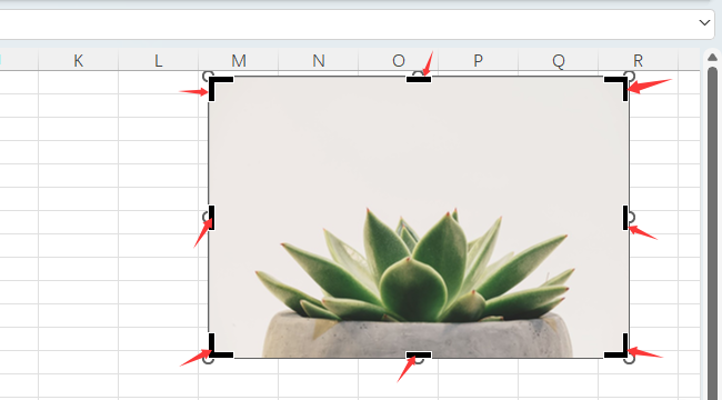 EXCEL2024üͼƬκβҪ5