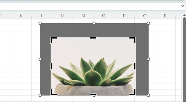 EXCEL2024üͼƬκβҪ6