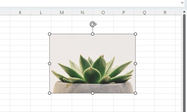 EXCEL2024üͼƬκβҪ7