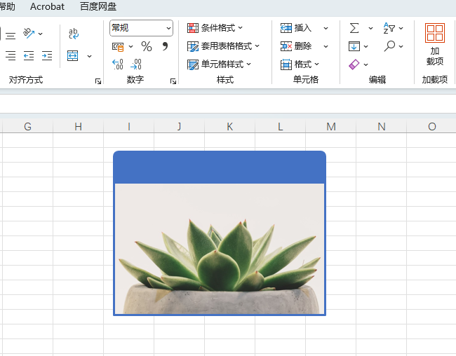 EXCEL2024ͼƬ״ϵϸ1