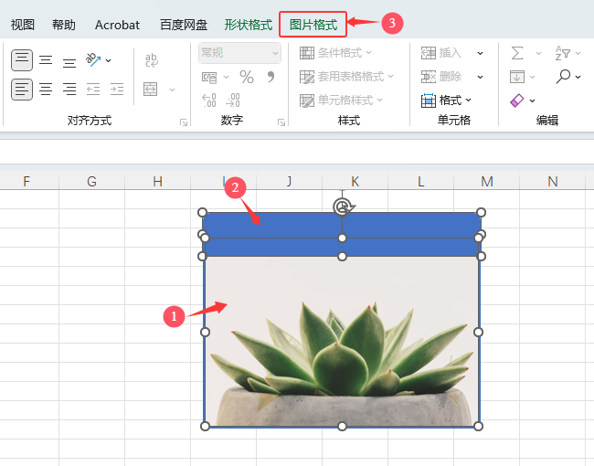 EXCEL2024ͼƬ״ϵϸ2