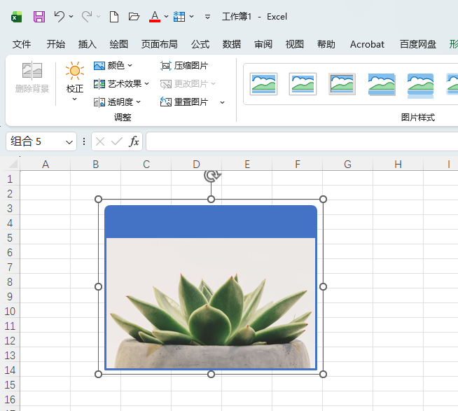 EXCEL2024ͼƬ״ϵϸ5