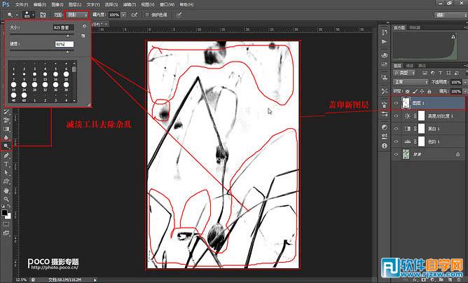 ps把荷塘废片转为写意水墨画