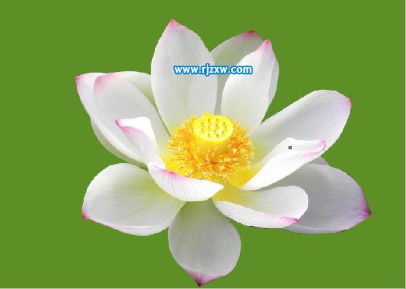 用ps抠图的二种实用方法