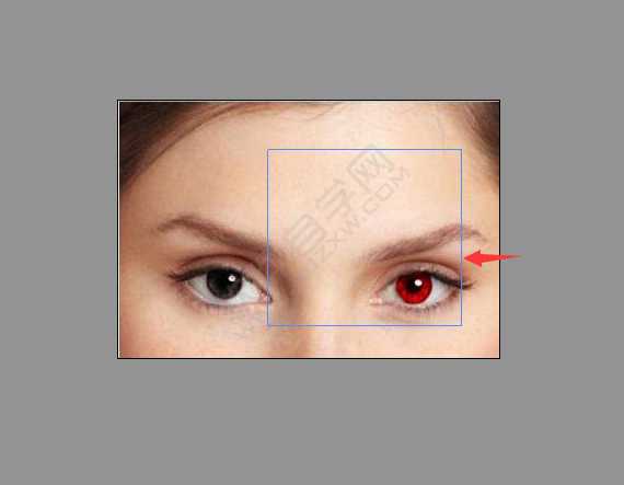 ps红眼工具如何p红眼