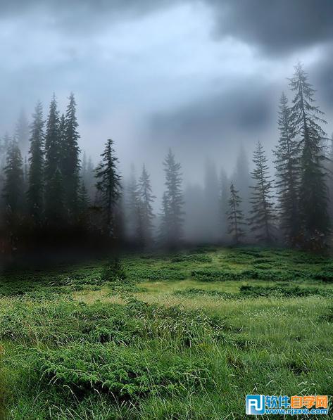 ps合成树林中的蝴蝶仙子