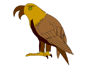 建筑结构施工图-软件自学网