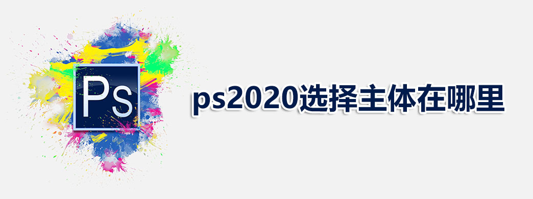 ps2020选择主体在哪里