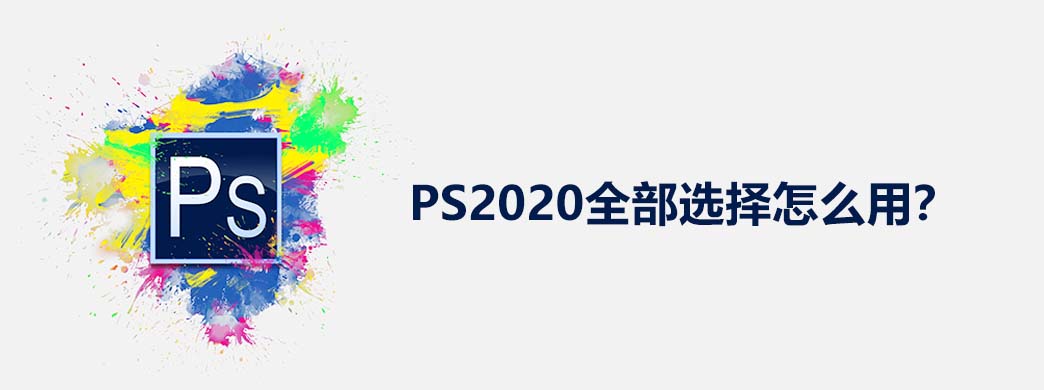 PS2020ȫѡô