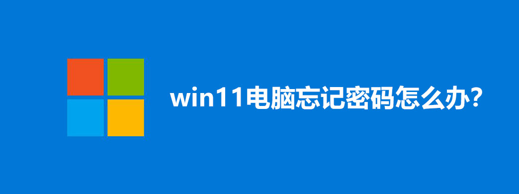 win11电脑忘记密码怎么办?