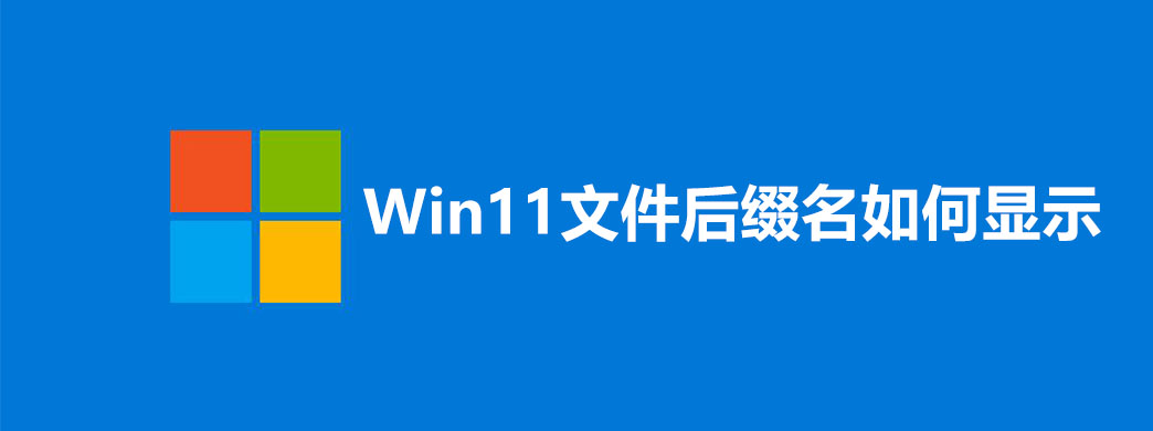 Win11文件后缀名如何显示