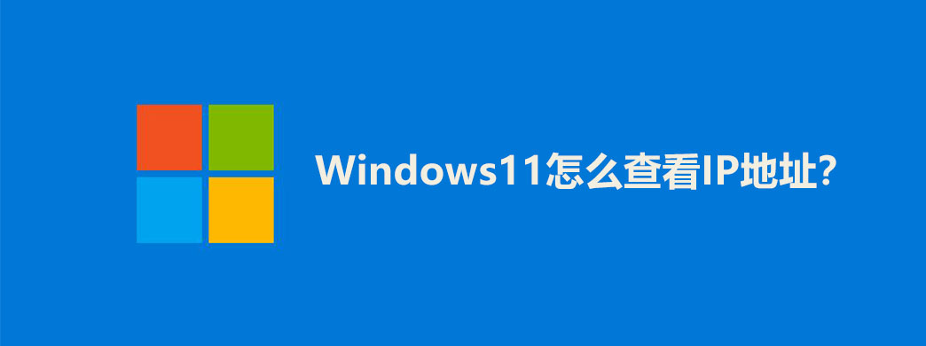 Windows11怎么查看IP地址?